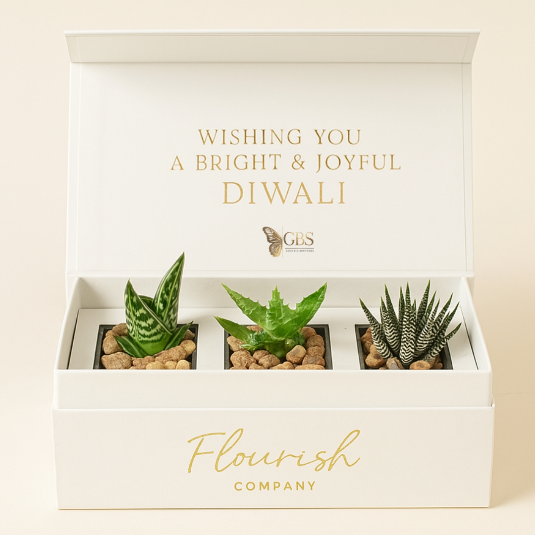 Flourish Box