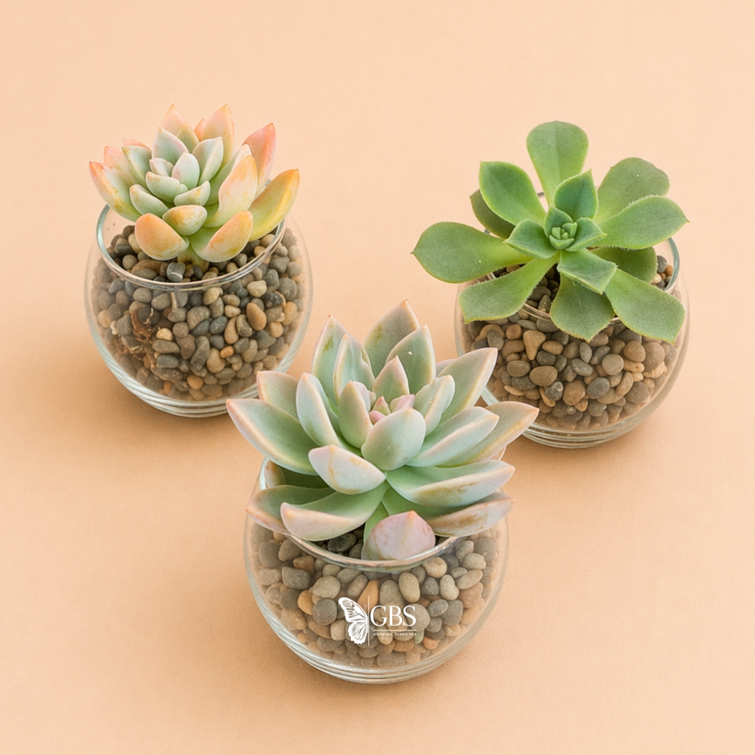 Verde Glass Planter